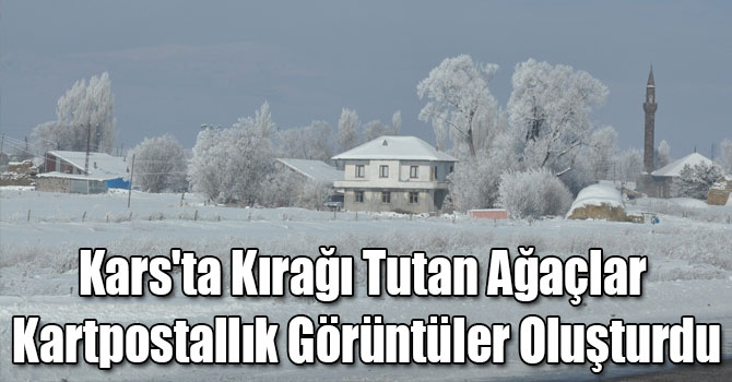 Kars'ta Kırağı Tutan Ağaçlar Kartpostallık Görüntüler Oluşturdu