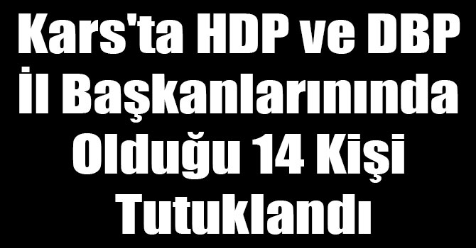 Kars'ta HDP ve DBP İl Başkanlarınında Olduğu 14 Kişi Tutuklandı