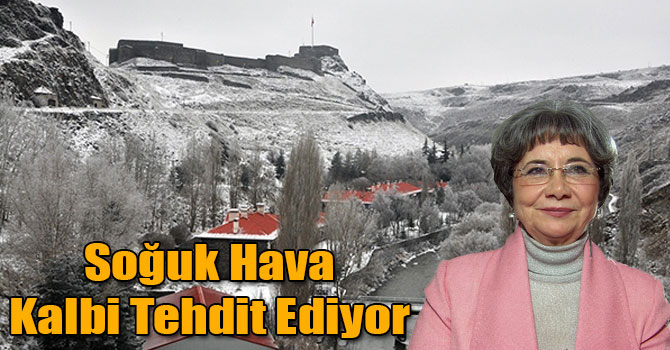 Soğuk Hava Kalbi Tehdit Ediyor