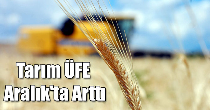 Tarım ÜFE Aralık'ta Arttı