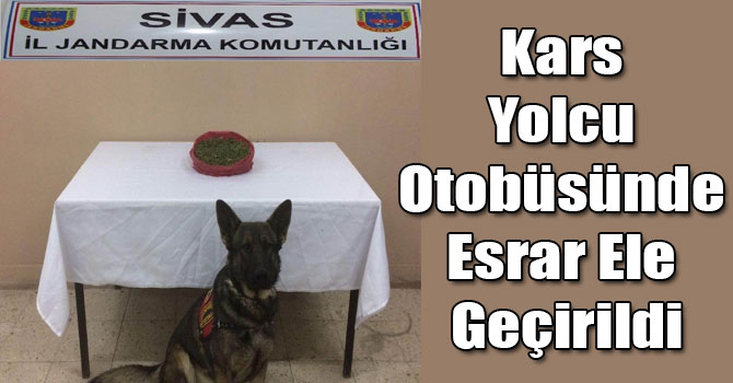 Kars Yolcu Otobüsünde Esrar Ele Geçirildi