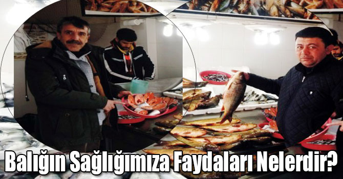 Balığın Sağlığımıza Faydaları Nelerdir?