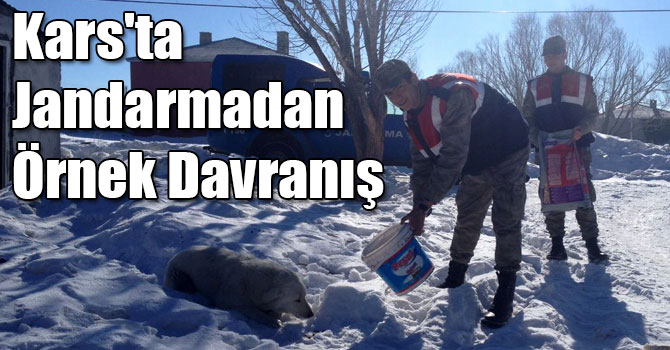 Kars'ta Jandarmadan Örnek Davranış