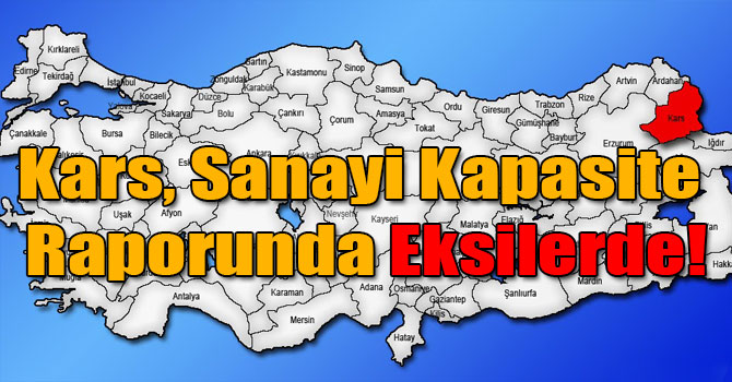 Kars, Sanayi Kapasite Raporunda Eksilerde!