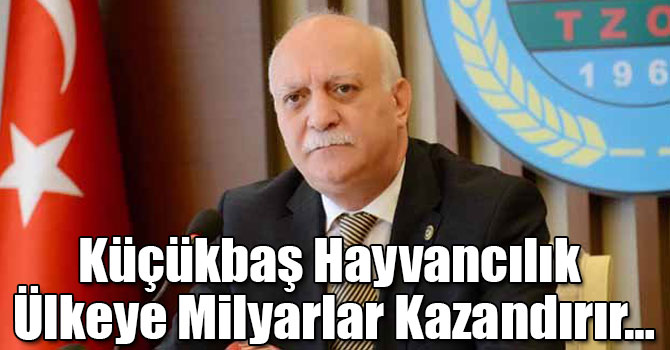 Küçükbaş Hayvancılık Ülkeye Milyarlar Kazandırır…