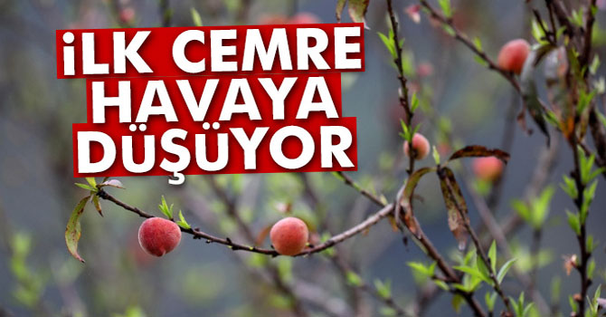 İlk Cemre Havaya Düşüyor! Cemre Nedir?