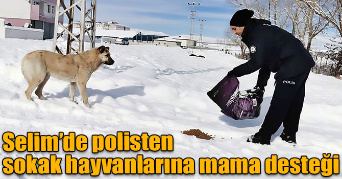 Selim’de polisten sokak hayvanlarına mama desteği