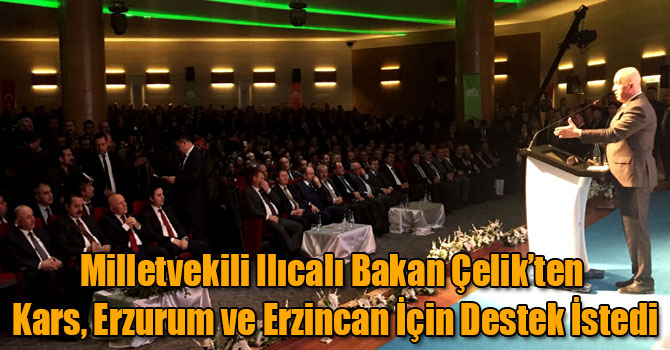 Milletvekili Ilıcalı Bakan Çelik’ten Kars, Erzurum ve Erzincan İçin Destek İstedi
