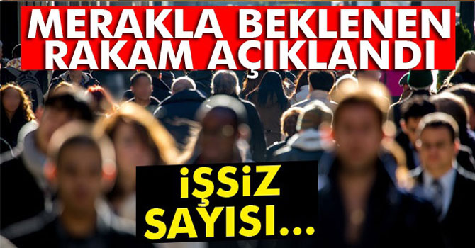 2016 yılı 'İşgücü İstatistikleri' açıklandı | İşsizlik Rakamları