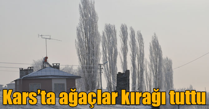 Kars buz kesti, ağaçlar kırağı tuttu