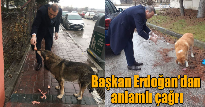 Başkan Erdoğan’dan can dostlarımız için anlamlı çağrı