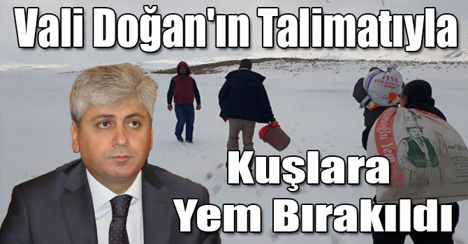 Kars Valisi Rahmi Doğan'ın Talimatıyla Kuşlara Yem Bırakıldı