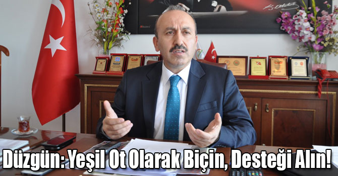 Düzgün: Yeşil Ot Olarak Biçin, Desteği Alın!