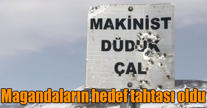 Kars’ta, tabelalar magandaların hedef tahtası oldu