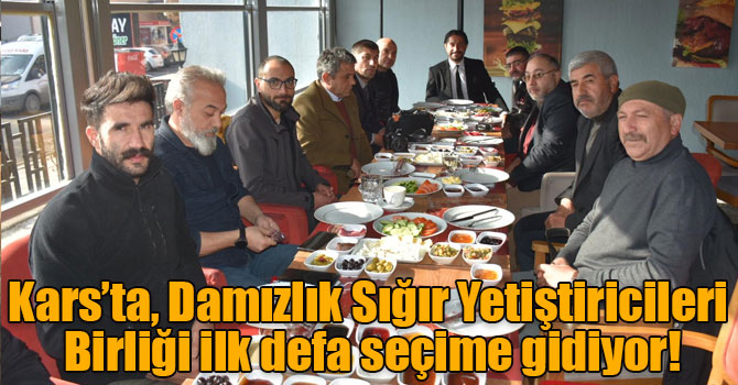 Kars’ta, Damızlık Sığır Yetiştiricileri Birliği ilk defa seçime gidiyor!