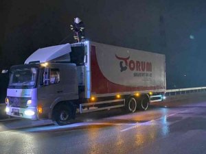 Sakatat ve et yüklü kamyonda yangın çıktı