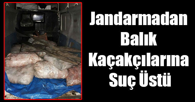 Jandarmadan Balık Kaçakçılarına Suç Üstü
