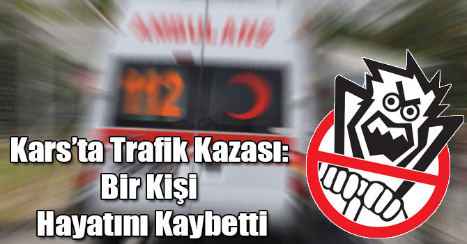 Kars’ta Trafik Kazası: Bir Kişi Hayatını Kaybetti