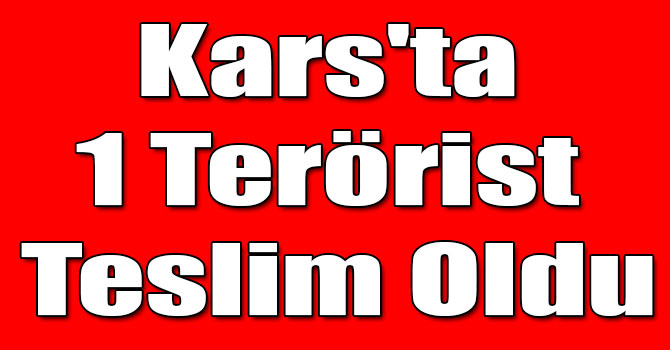 Kars'ta 1 Terörist Teslim Oldu