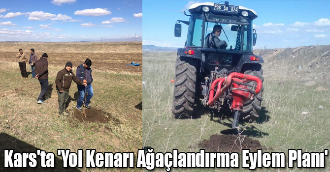 Kars'ta 'Yol Kenarı Ağaçlandırma Eylem Planı'