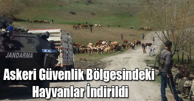 Askeri Güvenlik Bölgesindeki Hayvanlar İndirildi