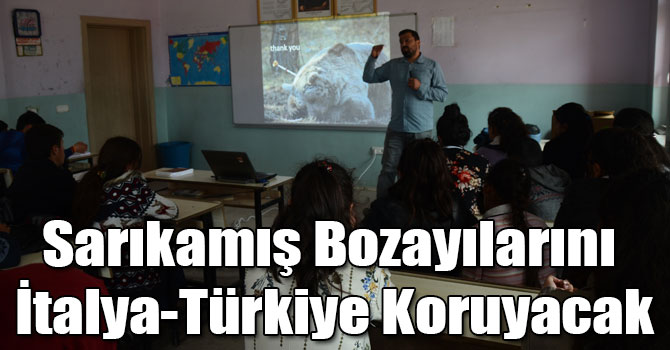 Sarıkamış Bozayılarını İtalya-Türkiye Koruyacak