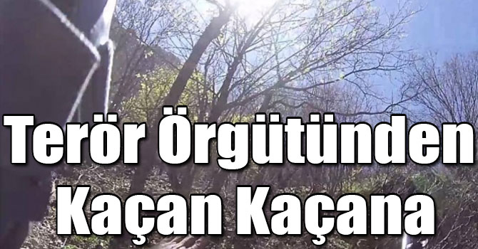 Terör Örgütü PKK’dan Kaçışlar Başladı