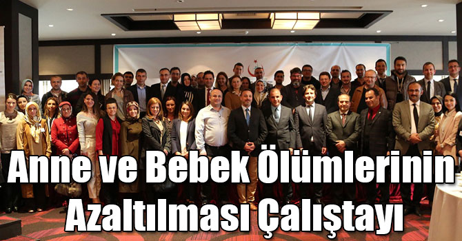 Anne ve Bebek Ölümlerinin Azaltılması Çalıştayı