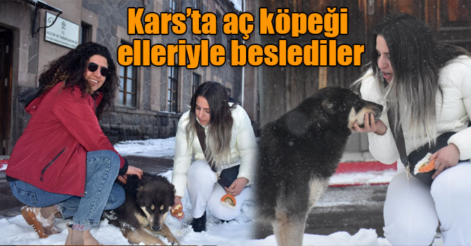 Kars’ta aç köpeği elleriyle beslediler