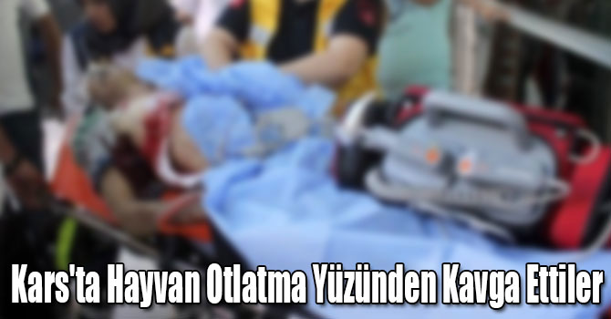 Kars'ta Hayvan Otlatma Yüzünden Kavga Ettiler