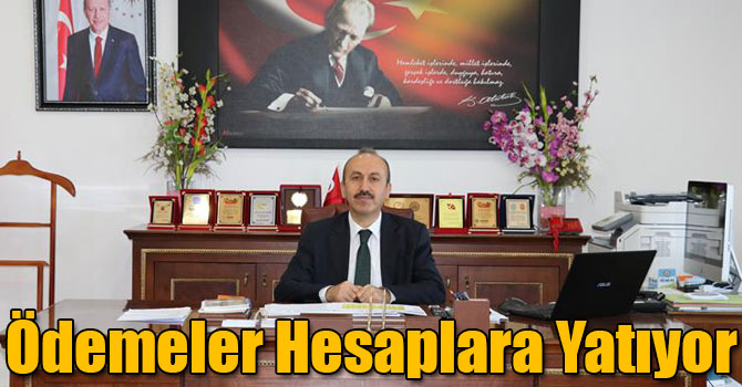 Kars'ta Anaç Koyun ve Keçi Destekleme Ödemeleri Hesaplara Yatıyor