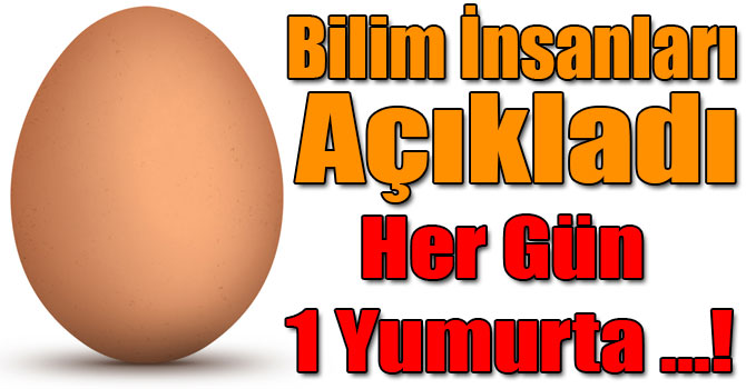 Her Gün Bir Yumurta Çocuk Gelişimine Katkı Sağlıyor