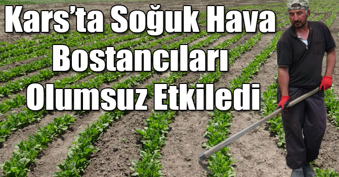 Kars’ta Soğuk Hava Bostancıları Olumsuz Etkiledi