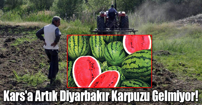 Kars'a Artık Diyarbakır Karpuzu Gelmiyor!