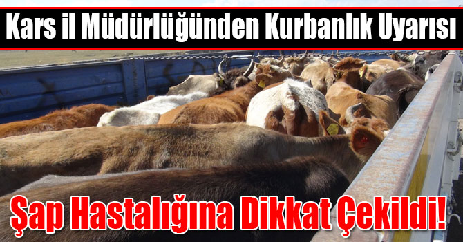 Kars İl Müdürlüğünden Kurbanlık Uyarısı: Şap Hastalığına Dikkat Çekildi!