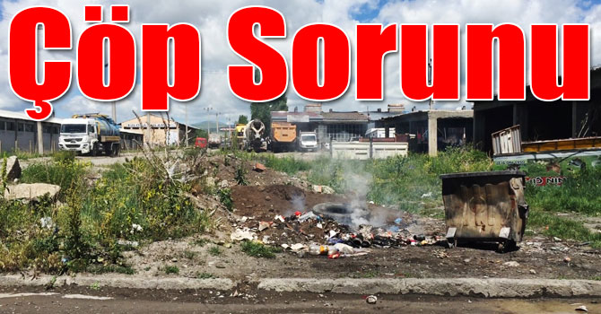 Kars Küçük Sanayi Sitesi’nde Çöp Sorunu