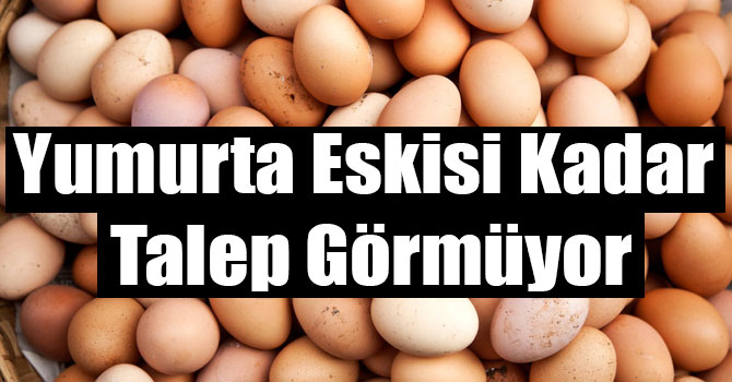 Fiyatı Yarıya Düşen Yumurta Eskisi Kadar Talep Görmüyor