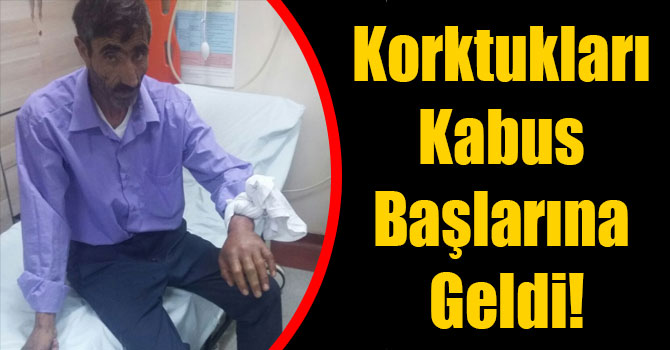 Korktukları Kabus Başlarına Geldi!