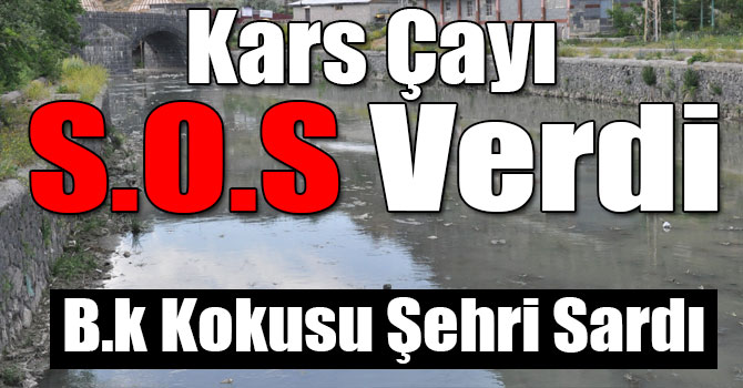 Havalar Isındı, Kars Çayı Kokmaya Başladı