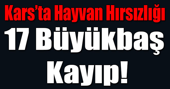 Kars’ta Hayvan Hırsızlığı: 17 Büyükbaş Kayıp!