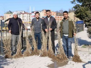 Ordu’da ipek böcekçiliği yaygınlaşıyor