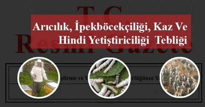 Arıcılık, İpekböcekçiliği, Kaz ve Hindi Yetiştiriciliği Destekleme Başvuruları Bugün Başladı