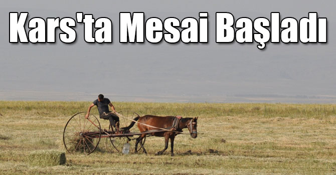Kars'ta Çiftçilerin Ot Biçme ve Patoz Mesaisi Başladı