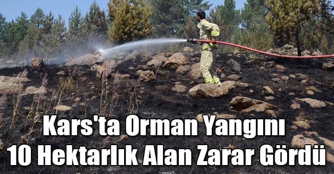 Kars'ta Orman Yangını: 10 Hektarlık Alan Zarar Gördü