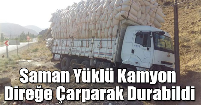 Saman Yüklü Kamyon Direğe Çarparak Durabildi