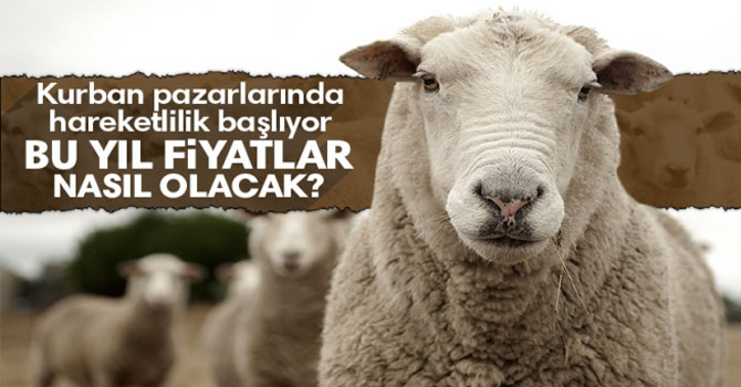 Kars'ta Kurban Sevkiyatları Başladı