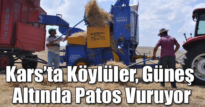 Kars’ta Köylüler, Güneş Altında Patos Vuruyor