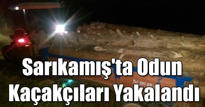 Sarıkamış'ta Odun Kaçakçıları Yakalandı