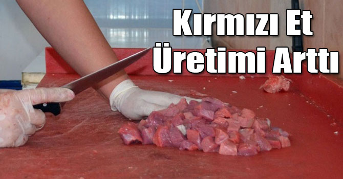 Kırmızı Et Üretimi İkinci Çeyrekte Arttı