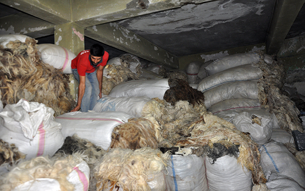 Düğün Sezonu Yüncülerin Yüzünü Güldürdü
